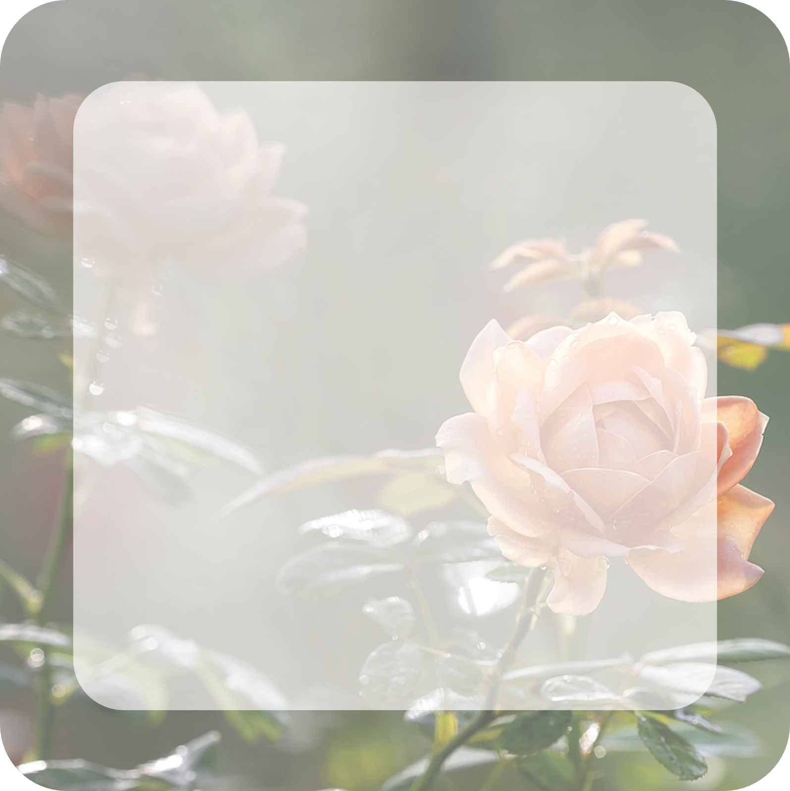 Image by HeungSoon from Pixabay