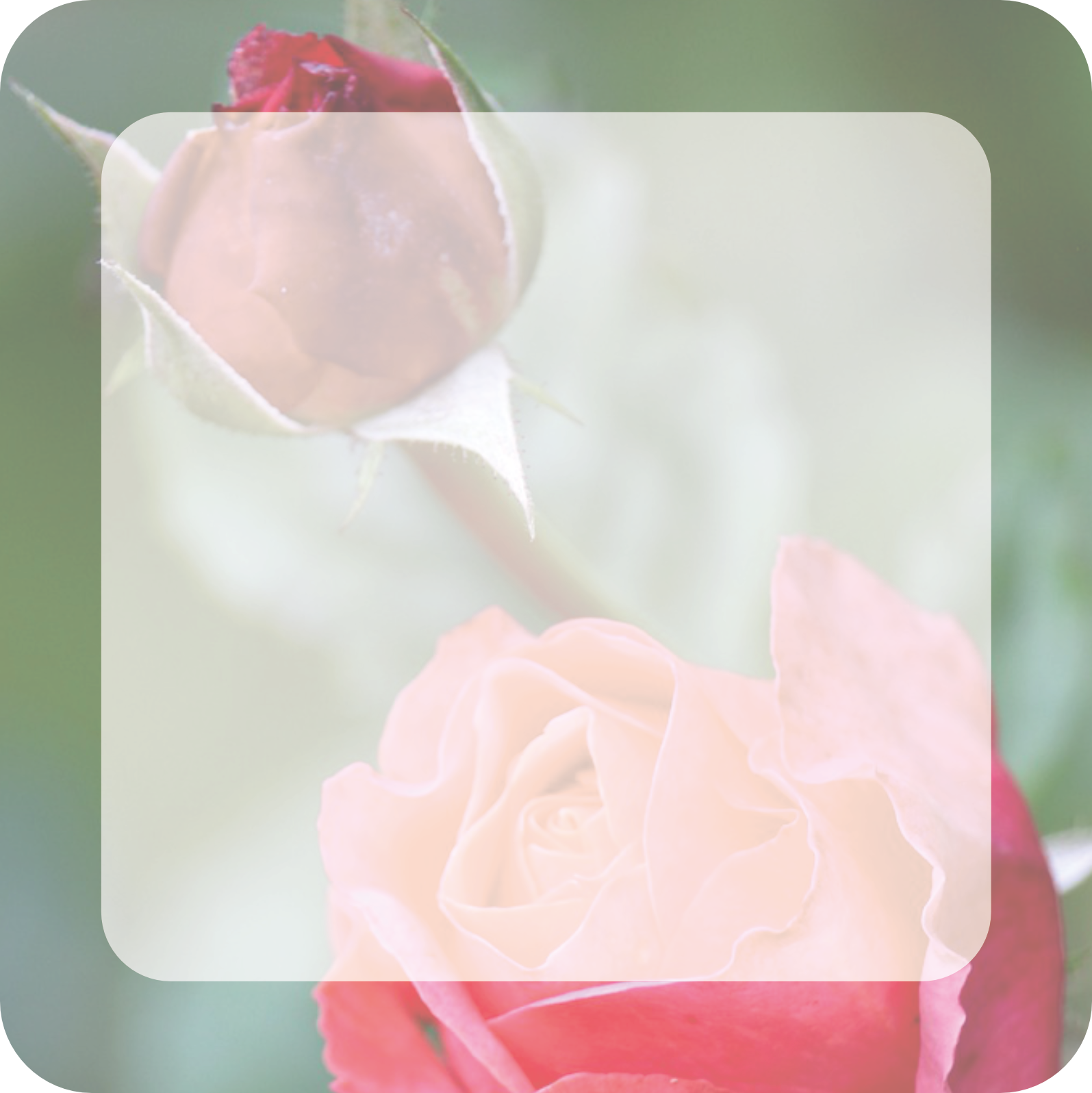 Image by Kerstin Riemer from Pixabay