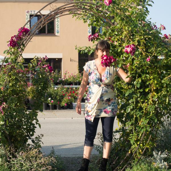 Führungen im Rosenschaugarten